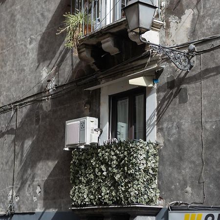 Terra Dell'Etna Apartment CTA Exterior foto
